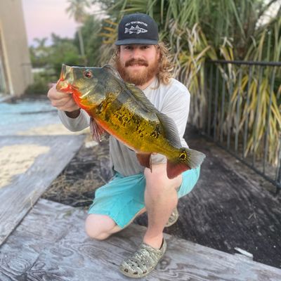 Florida Man Guide Service