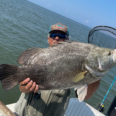Apalachicola Bay Charter