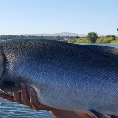 Thunder Outdoors Fishing