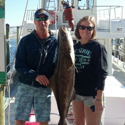 Get The Gaff Sportfishing Charters