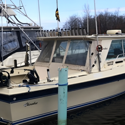 Brownbear Sport Fishing Charters