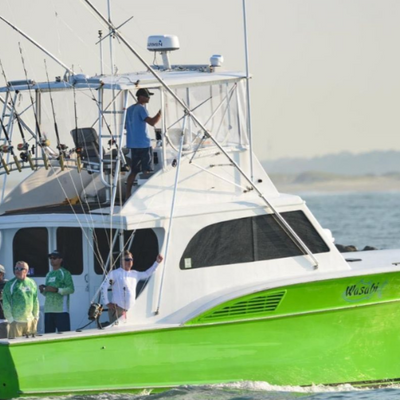 wasabi sportfishing