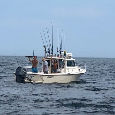 Blueline  Fishing  Charters