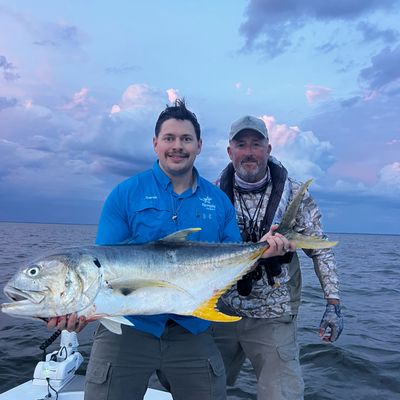 Addicted to Scales & Tail Charters