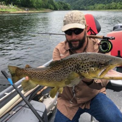 Hooked In The Ozarks - Fly Fishing And Spin Guides