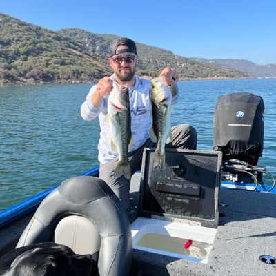 Dak's Guided Bass Fishing