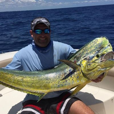 Chlophish Charters
