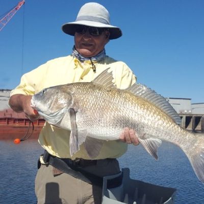 Snook On A Hook