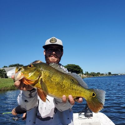 Jurassic Park Fishing Charters