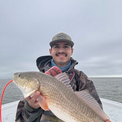 Slick Fin Charters