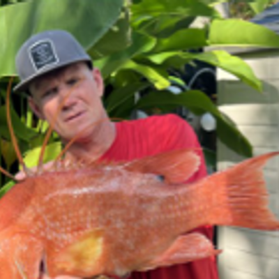 Domestic Six Pack Charters