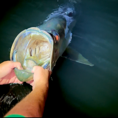 Flat Bottom Fishing Charters