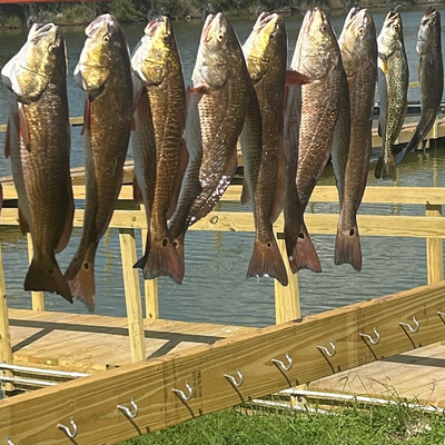 Today We Fish Charter and Adventures