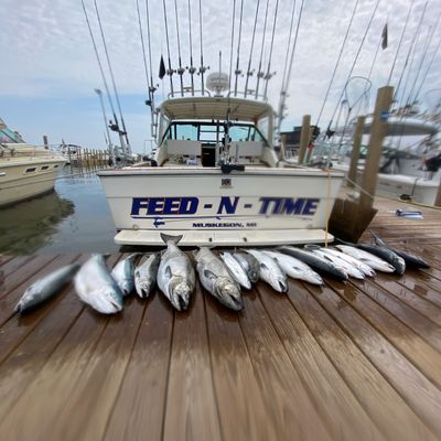 Feed-N-Time Charters