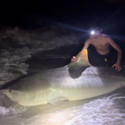Drop Zone Fishing Charters