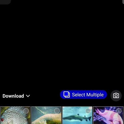 ABC fishing chatters - Test Account