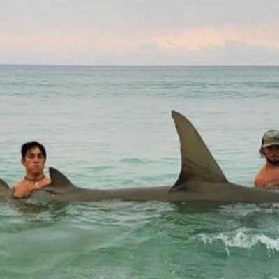 Noname Shark Charters