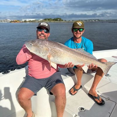 Bell & Anchor Fishing Charters