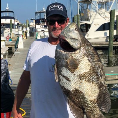 Shearwater Charters