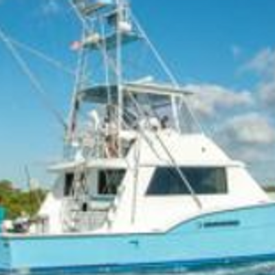 Chasin Finz II Sport Fishing