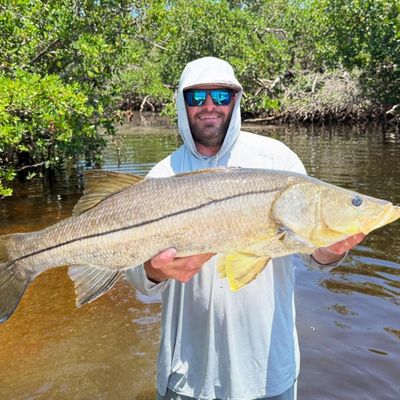 Vera Vita Sportfishing