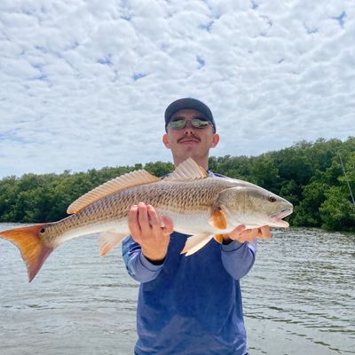 Finseekers Fishing Charters