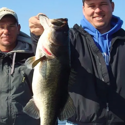 Guided Bass Trips