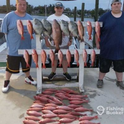 REEL Viking Charters