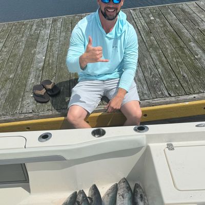 Nautiboi Charters