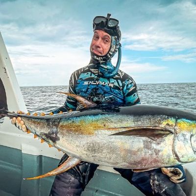 Life Below The Surface Charters