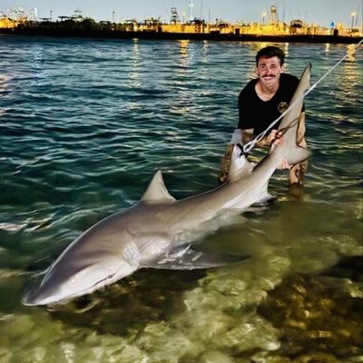 Shark zone Miami 