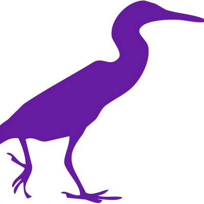 Purple Heron Charters