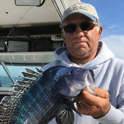 Captain Ron's Fishing Charters