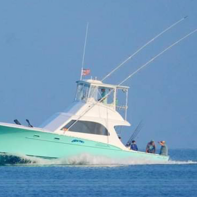 Gecko Sportfishing Charters