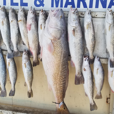Anglers Choice Guide Service