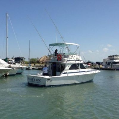 What's On Fishing