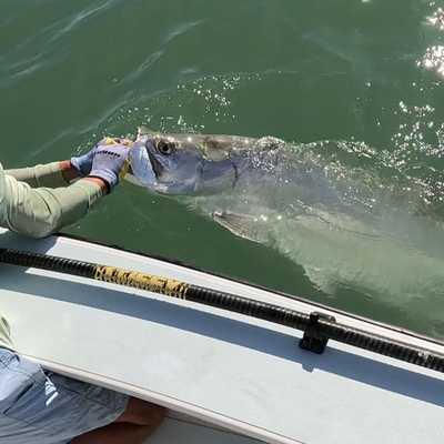 Andy's Fishing Charters