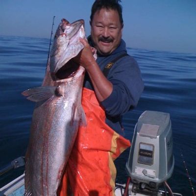 Top Rated Fishing Charters in South Bay, CA