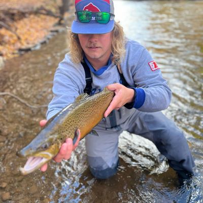 Creek Chubs Guide Service