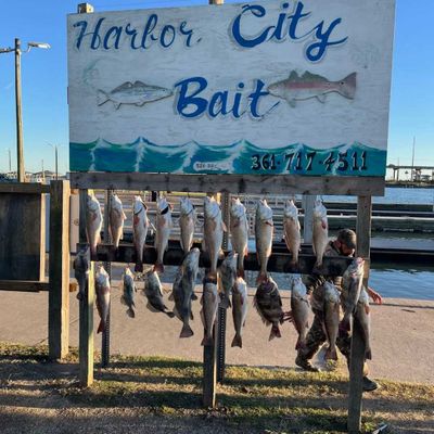 Jawjackers Charters