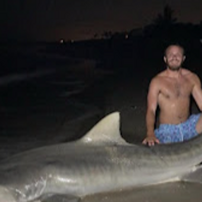 Tampa Bay Shark Fishing