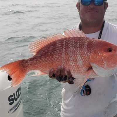 Old Salt Charters
