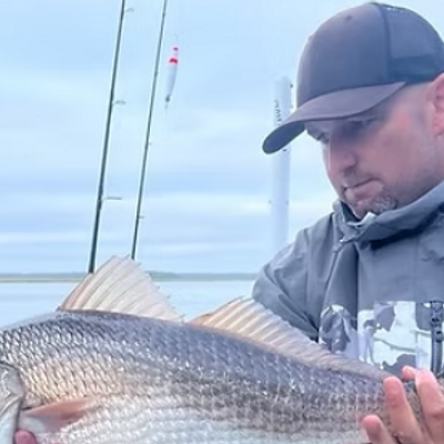 American Angler Sportfishing
