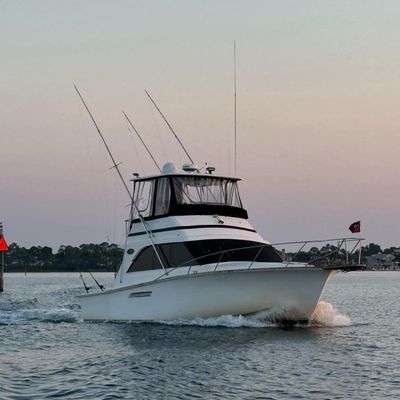 Showtime Fishing Charter