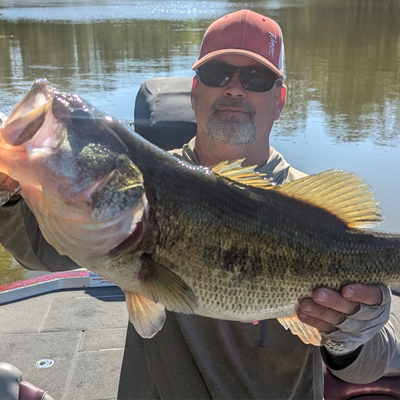 Fish Hard Guide Service