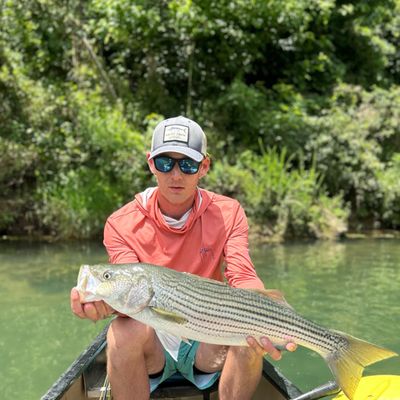 Sunny Daze Guide Service