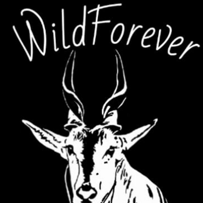WildForever - Texas Outfitters