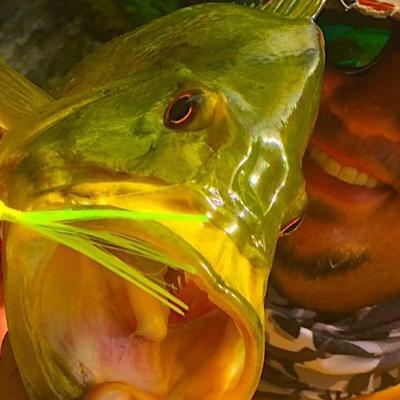 Endless Adventure Fishing Charters