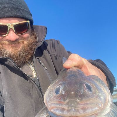 Wild Walleye Outfitters