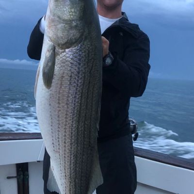 Migration Destination Outfitters